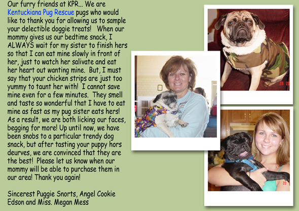 kentucky pug rescue