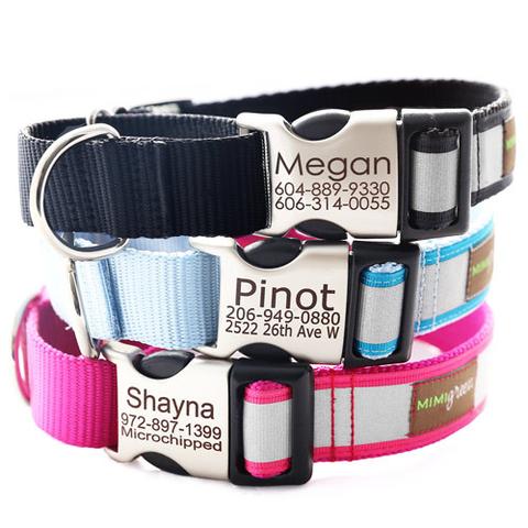 Dog Collars